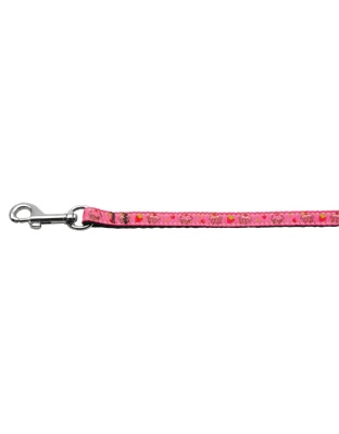 Cupcakes Nylon Ribbon Leash Bright Pink 3/8 inch wide 4ft Long