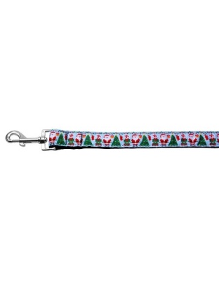 Aqua Santa Nylon Ribbon Pet Leash 1 wide 4ft
