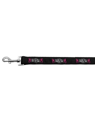 Country Girl Nylon Ribbon Pet Leash 1 wide 4ft