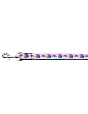 Technicolor Love Nylon Ribbon Pet Leash 1 wide 4ft