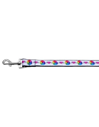 Technicolor Love Nylon Ribbon Pet Leash 1 wide 4ft