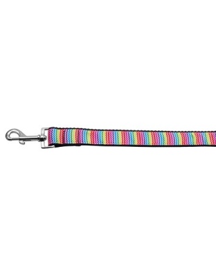 Zigzaggy Rainbow Nylon Ribbon Dog Collars 1 wide 4ft Leash