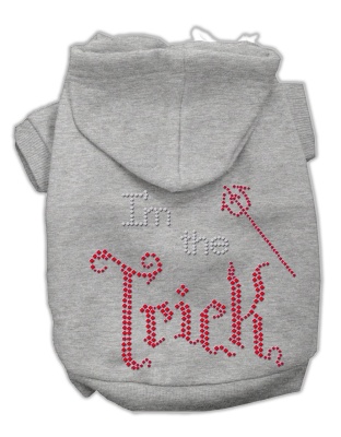 I'm the Trick Rhinestone Hoodies Grey L