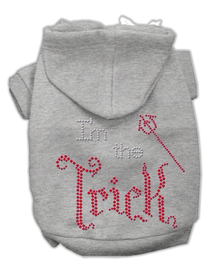 I'm the Trick Rhinestone Hoodies Grey L