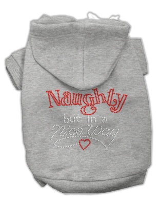 Naughty But Nice Hoodies Grey L