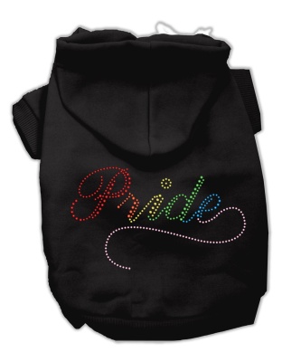Rainbow Colored Pride Hoodies Black L