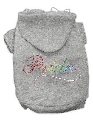 Rainbow Colored Pride Hoodies Grey L