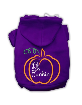 Lil Punkin Screenprint Hoodie Purple L