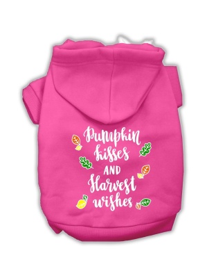 Pumpkin Kisses Screenprint Dog Hoodie Bright Pink L