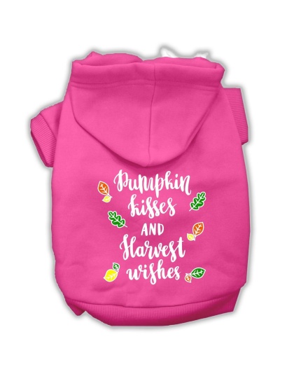 Pumpkin Kisses Screenprint Dog Hoodie Bright Pink L