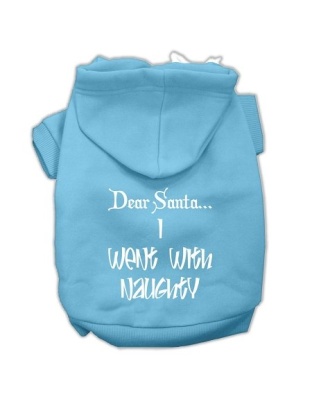 Dear Santa I Went with Naughty Screen Print Pet Hoodies Baby Blue Size Lg