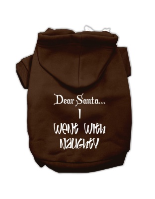 Dear Santa I Went with Naughty Screen Print Pet Hoodies Brown Size Lg