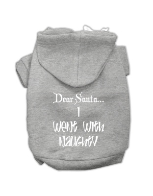 Dear Santa I Went with Naughty Screen Print Pet Hoodies Grey Size Lg