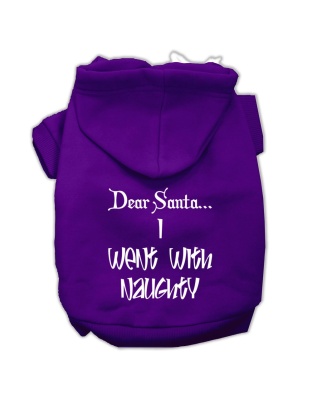 Dear Santa I Went with Naughty Screen Print Pet Hoodies Purple Size Lg