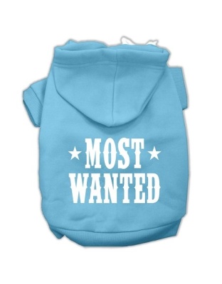 Most Wanted Screen Print Pet Hoodies Baby Blue Size Lg