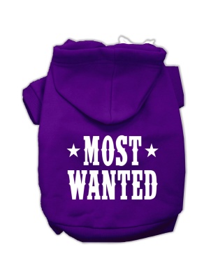 Most Wanted Screen Print Pet Hoodies Purple Size Lg