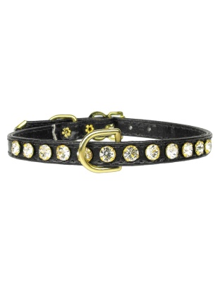 #16 Black 10
