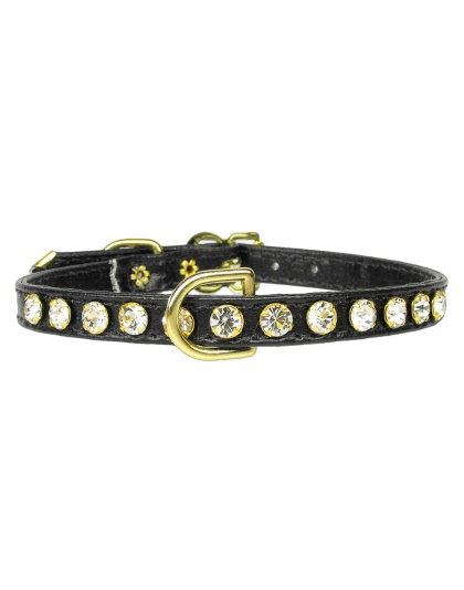 #16 Black 10