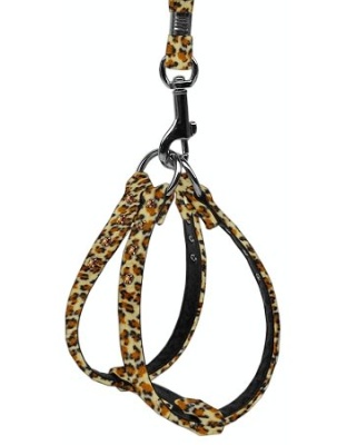 Animal Print Step In Harness Jaguar 10