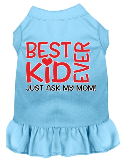 Ask My Mom Screen Print Dog Dress Baby Blue 4X (22)