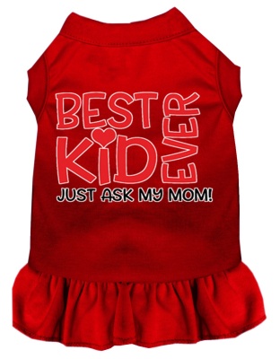 Ask My Mom Screen Print Dog Dress Red 4X (22)