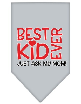 Ask My Mom Screen Print Pet Bandana Grey Large