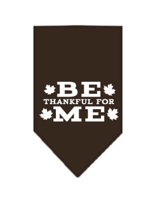 Be Thankful for Me Screen Print Bandana Cocoa Large