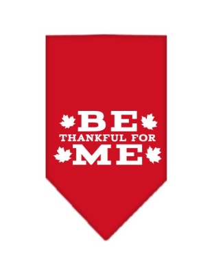 Be Thankful for Me Screen Print Bandana Red Large