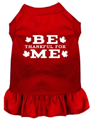 Be Thankful for Me Screen Print Dress Red 4X (22)
