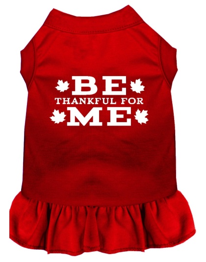 Be Thankful for Me Screen Print Dress Red 4X (22)