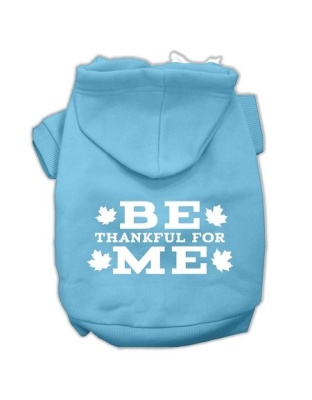 Be Thankful for Me Screen Print Pet Hoodies Baby Blue Size L