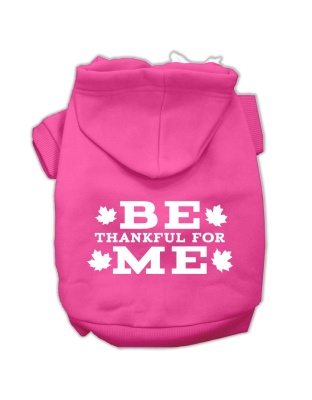 Be Thankful for Me Screen Print Pet Hoodies Bright Pink Size L