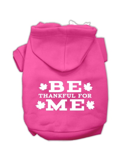 Be Thankful for Me Screen Print Pet Hoodies Bright Pink Size L