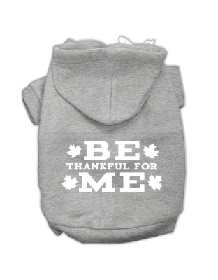 Be Thankful for Me Screen Print Pet Hoodies Grey Size L