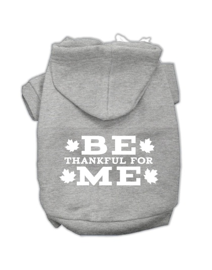 Be Thankful for Me Screen Print Pet Hoodies Grey Size L