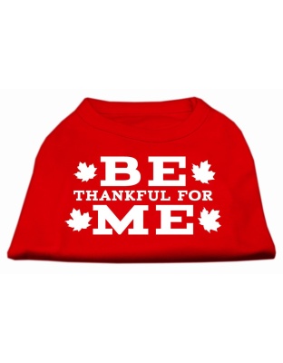 Be Thankful for Me Screen Print Shirt Red L
