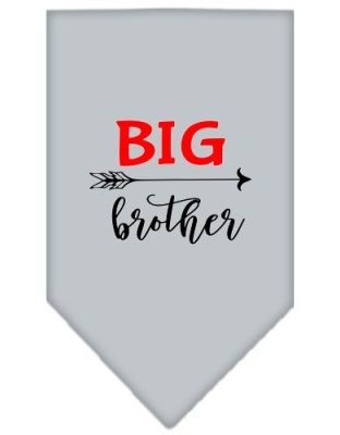 Big Brother Screen Print Bandana Grey Large