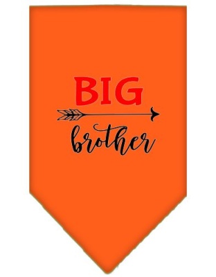 Big Brother Screen Print Bandana Orange Large