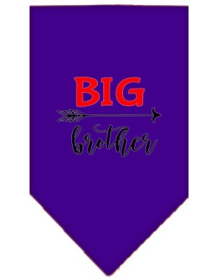 Big Brother Screen Print Bandana Purple Large