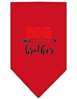 Big Brother Screen Print Bandana Red Large