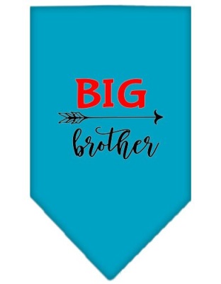 Big Brother Screen Print Bandana Turquoise Large