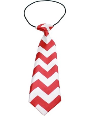 Big Dog Neck Tie Chevron Red