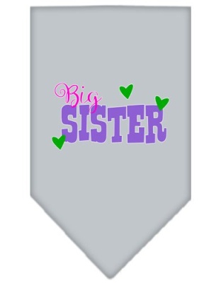Big Sister Screen Print Bandana Grey Large