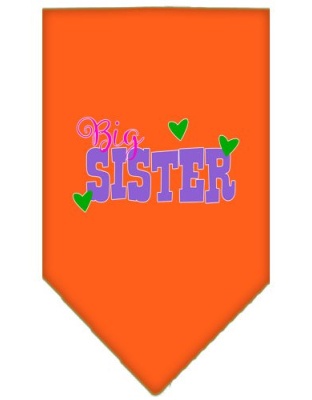 Big Sister Screen Print Bandana Orange Large