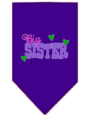 Big Sister Screen Print Bandana Purple Large