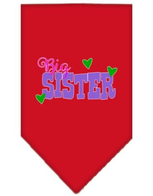 Big Sister Screen Print Bandana Red Large