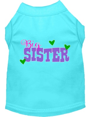 Big Sister Screen Print Dog Shirt Aqua Lg