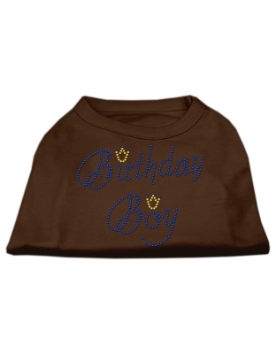 Birthday Boy Rhinestone Shirts Brown Lg