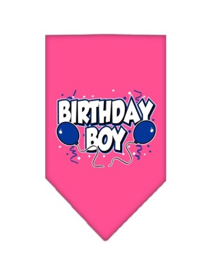 Birthday Boy Screen Print Bandana Bright Pink Large