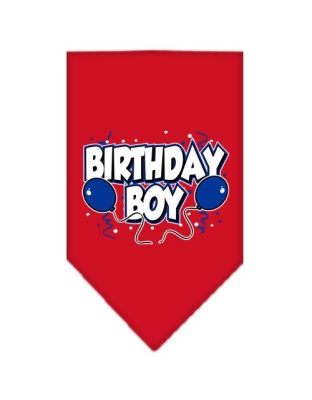 Birthday Boy Screen Print Bandana Red Large